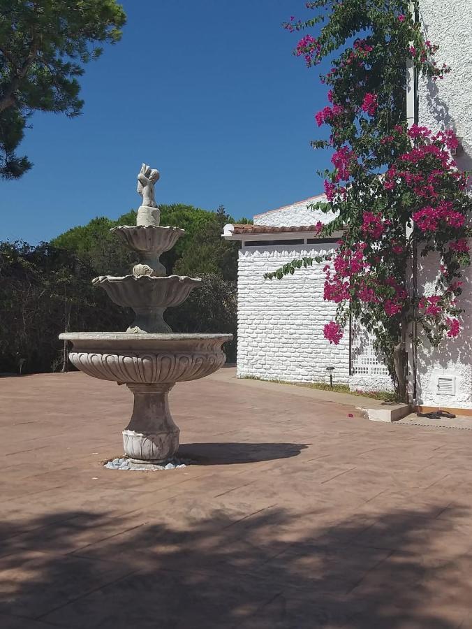 Ferienwohnung Entre Pinos Y Playa Matalascañas Exterior foto